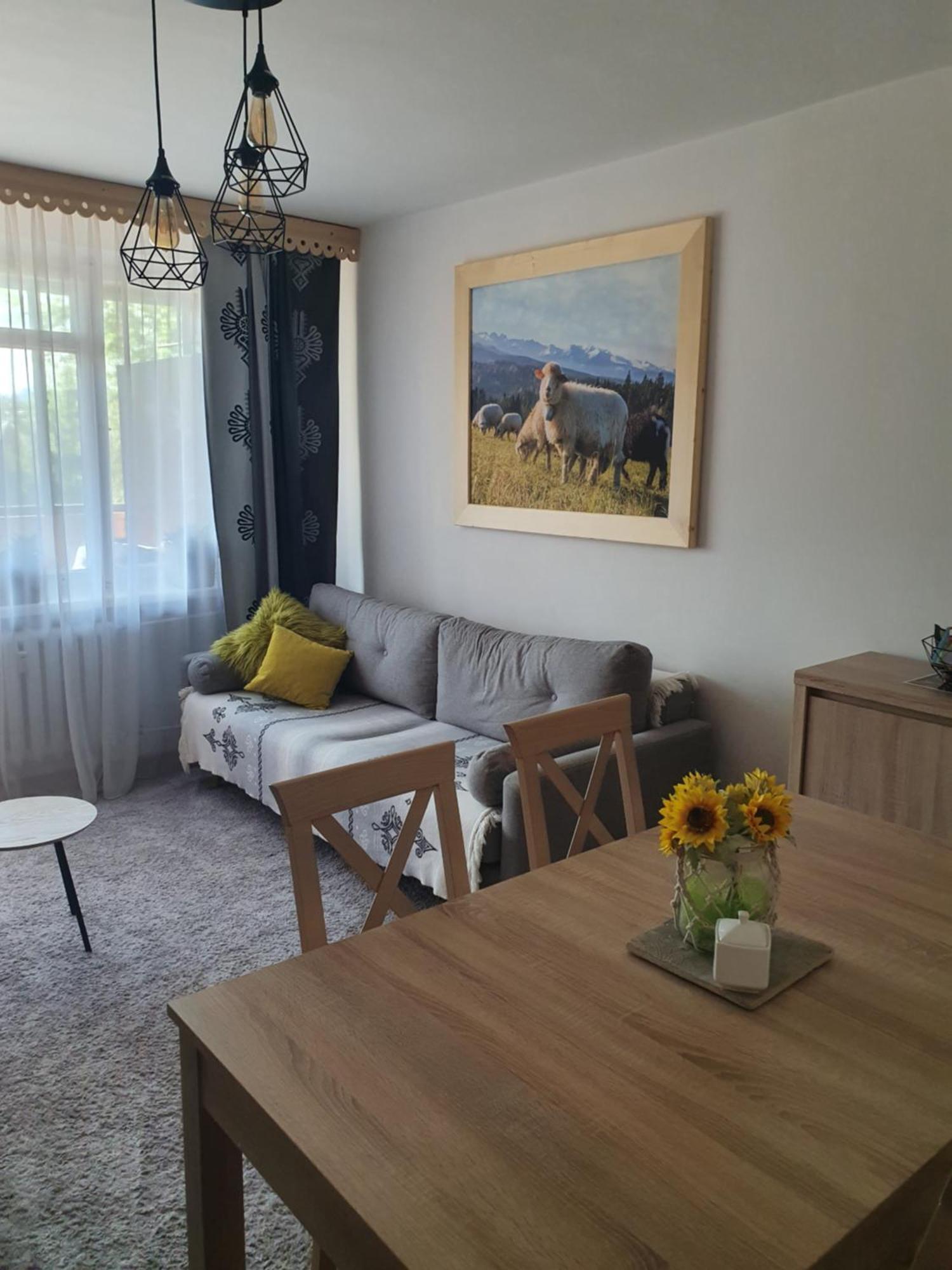 Apartament Regionalny Centrum 扎科帕内 客房 照片